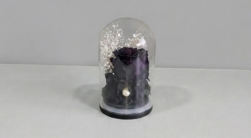 Stunning black preserved natural rose in glass dome