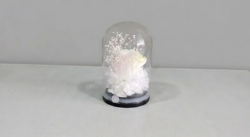 Elegant white preserved natural rose in glass dome